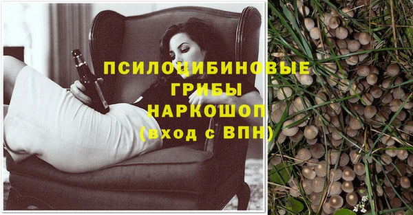 метамфетамин Алексеевка