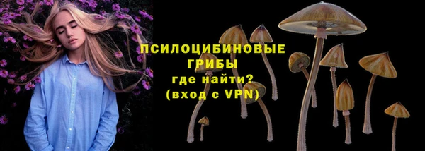 метамфетамин Алексеевка
