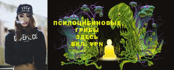 ALPHA-PVP Медвежьегорск